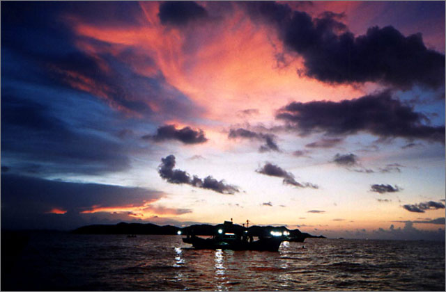 Squid fishing