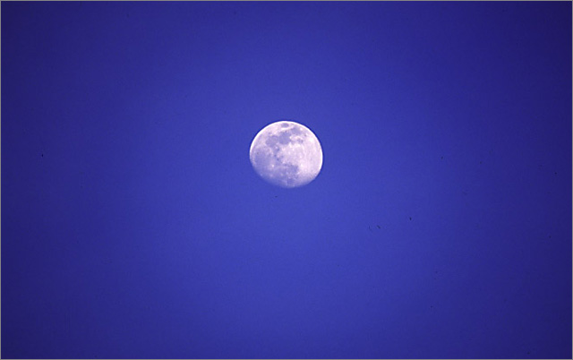 The moon