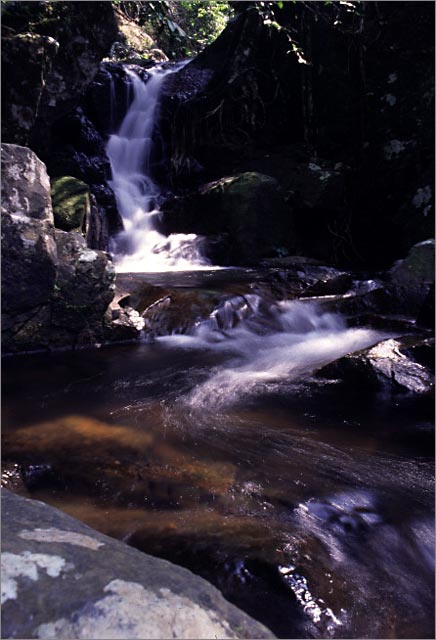 Waterfall at Pulau Tioman