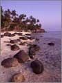 Pemanggil Island's Beach